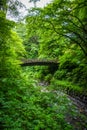 Traditional japanese wooden bridge in Nikko, Japan Royalty Free Stock Photo