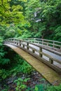 Traditional japanese wooden bridge in Nikko, Japan Royalty Free Stock Photo