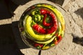 Traditional Jarred yellow, green, red, hot peppers. Royalty Free Stock Photo