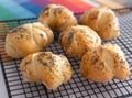 Traditional Jewish Challah rolls for Shabbat, topped with poppy seeds, cooling on a wire tray.
