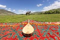 Traditional Kazakh musical instrument of Dombra Royalty Free Stock Photo