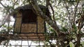 Traditional knitted woven bamboo with thatch roof tree house or hut build between two tree