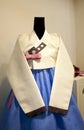 Traditional korean dress Royalty Free Stock Photo