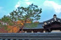 Traditional Korean house with old walls and trees