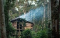 Traditional Korowai house perched in a tree Royalty Free Stock Photo