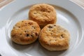 Traditional Lancashire Eccles Cakes Royalty Free Stock Photo