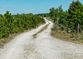 Traditional landscape with white pebble road, Saaremaa island, Estonia Royalty Free Stock Photo