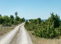 Traditional landscape with white pebble road, Saaremaa island, Estonia Royalty Free Stock Photo