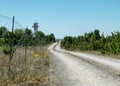 Traditional landscape with white pebble road, Saaremaa island, Estonia Royalty Free Stock Photo