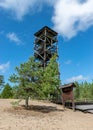 Traditional landscape of a wooden observation tower surrounded by pine trees in the forest, Rannametsa vaatetorn, PÃÂ¤rnu county,