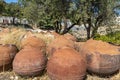 Large clay jugs for storing wine piled near a vineyard, Cyprus. Royalty Free Stock Photo