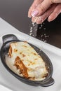 Traditional lasagna with meat sauce and melted cheese, baked, Close up Royalty Free Stock Photo