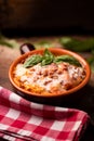 Traditional lasagne in a casserole dish Royalty Free Stock Photo