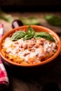 Traditional lasagne in a casserole dish Royalty Free Stock Photo