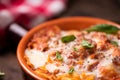 Traditional lasagne in a casserole dish Royalty Free Stock Photo