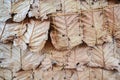 Traditional leaf wall