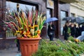 Traditional lithuanian palm bouquets on Palm Sunday