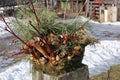 Traditional Lithuanian winter Christmas bouquet of fir branches and cones near a village house