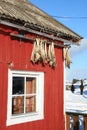 Traditional Lofoten's rorbu