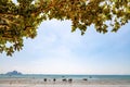 Traditional Longtail boats parked at Ao Nang Beach in Krabi, Thailand Royalty Free Stock Photo