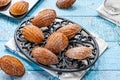 Traditional Madeleines cakes Royalty Free Stock Photo
