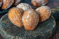 Traditional Madeleines cakes Royalty Free Stock Photo