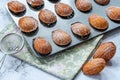 Traditional Madeleines cakes Royalty Free Stock Photo