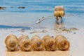 Traditional malagasy fishing boat with trap on beach Royalty Free Stock Photo