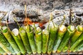 Traditional Malay food,