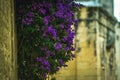 Traditional Maltese Architecture Malta Buildings Traditional Houses and Streets Tourism Concept Travel Background Exotic destinati