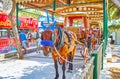 Traditional Maltese Karozzin carriages, Mdina, Malta Royalty Free Stock Photo