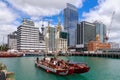 Traditional Maori waka sails into Auckland, New Zealand Royalty Free Stock Photo