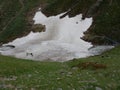 Traditional march of sheeps herd over a mountain pass to the pasture Royalty Free Stock Photo