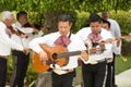 Traditional Mariachi Band serenades a wedding