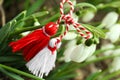 Traditional martisor and fresh snowdrop flowers outdoors, closeup