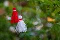 Traditional Martisor on green tree branch - symbol of 1 March, Martenitsa, Baba Marta, beginning of spring and seasons changing in