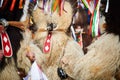 Colorful face of Kurent, Slovenian traditional mask, carnival time