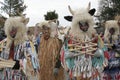 Traditional masks Royalty Free Stock Photo