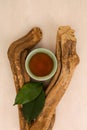 Ayahuasca drink, leaves and wood Royalty Free Stock Photo