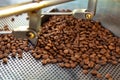 Traditional method of roasting dried organic arabica coffee beans in roster with open grid for cooling, bio coffee farm