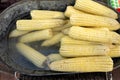 Mexican boiled corn snack called elotes Royalty Free Stock Photo