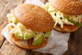 Traditional Mexican Cemita Poblana sandwich with meat, cheese, avocado and sauce close-up. horizontal Royalty Free Stock Photo