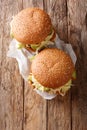 Traditional Mexican Cemita Poblana sandwich with meat, cheese, avocado and sauce close-up. Vertical top view Royalty Free Stock Photo