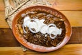 Mexican enchilada with mole sauce