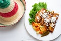 Mexican enchiladas style `Queretanas`