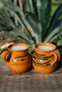 Mexican fermented beverage called Pulque