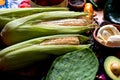 Mexican food: ingredients Royalty Free Stock Photo