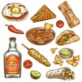 Traditional mexican food. Mexican national burrito, tacos and nachos, enchilada and chili pepper, tequila colored sketch vector