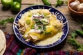 Mexican green enchiladas with chicken and melted cheese Royalty Free Stock Photo