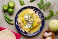 Mexican green enchiladas with chicken and melted cheese Royalty Free Stock Photo